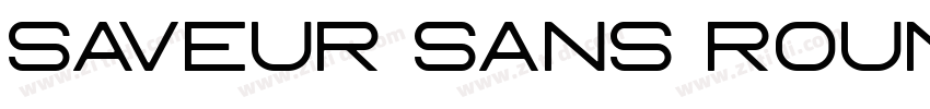 Saveur Sans Round字体转换